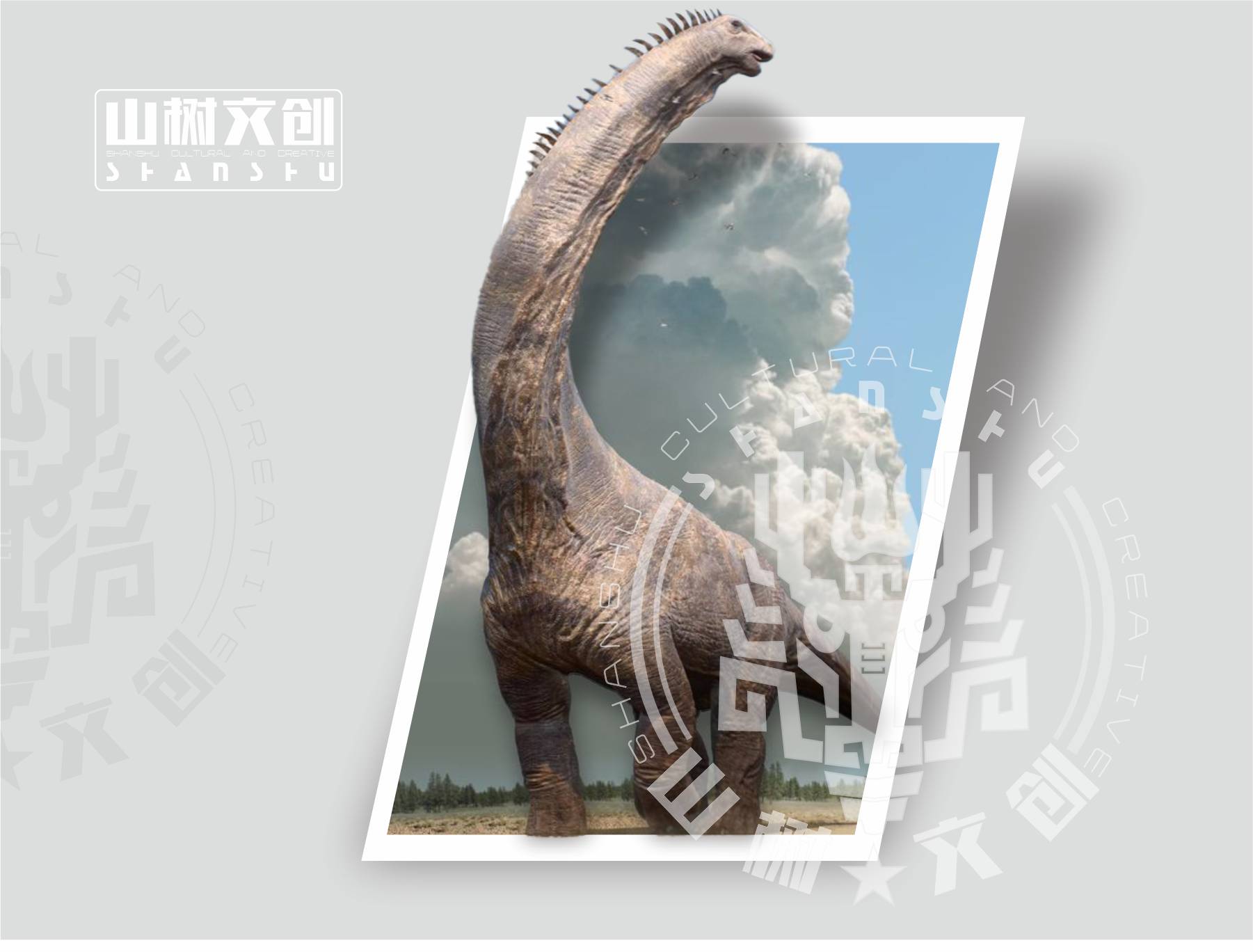 梁龙.jpg
