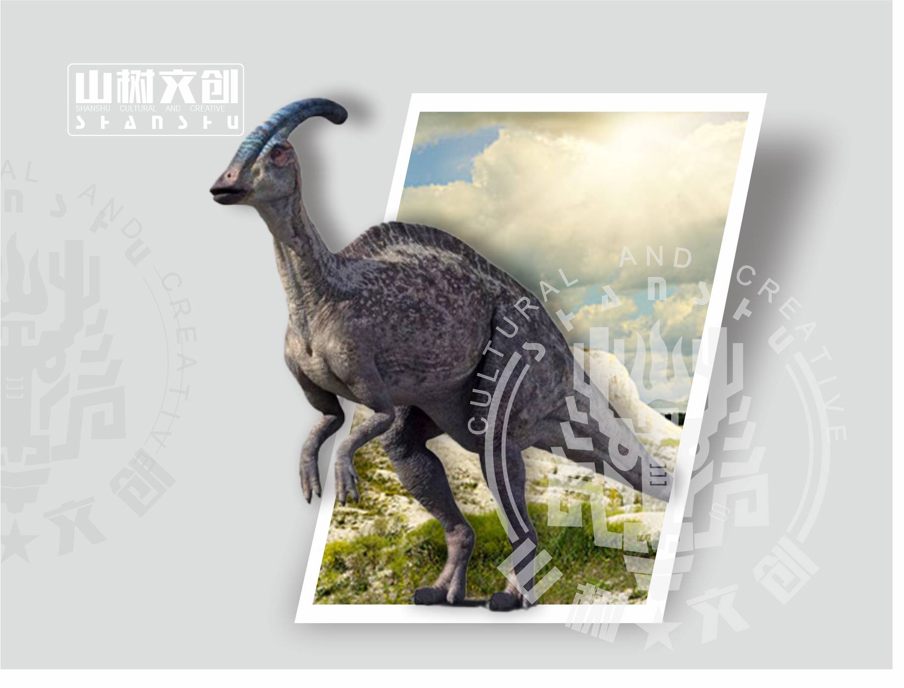 副栉龙.JPEG