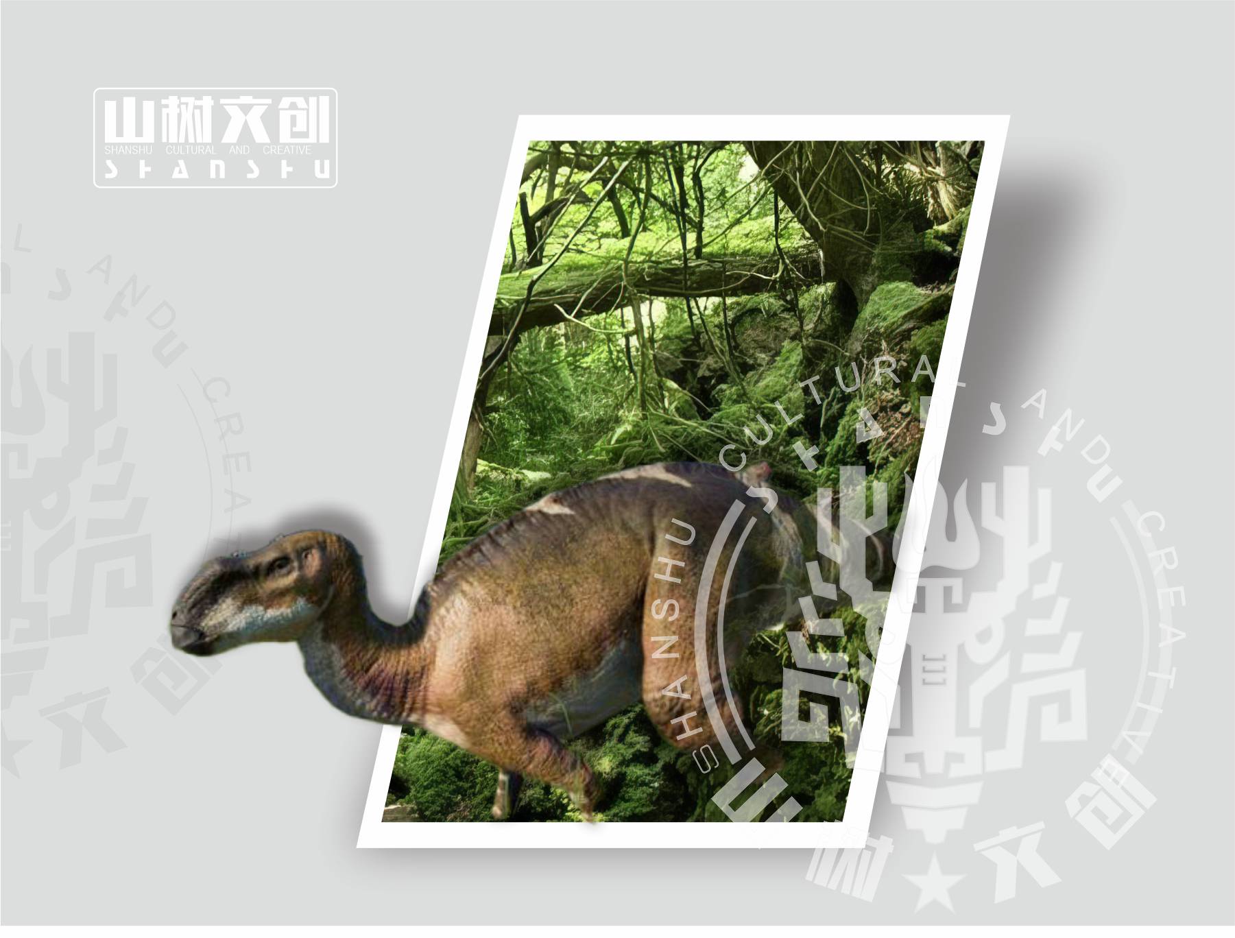木他龙.jpeg