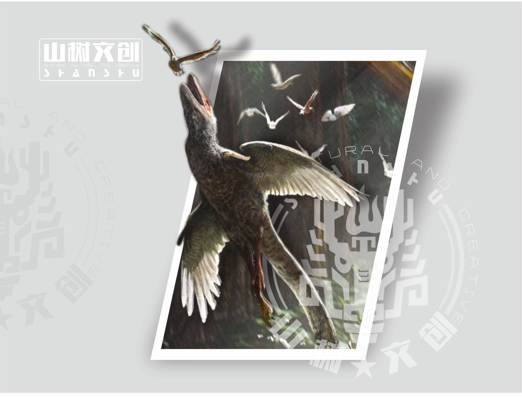 中华羽龙.jpg