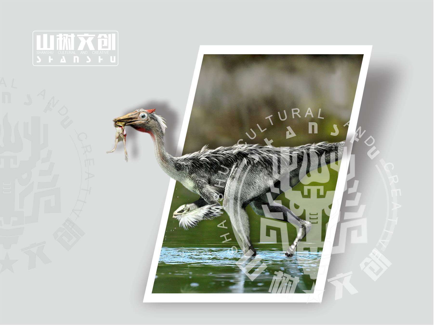 似鹈鹕龙1.jpg